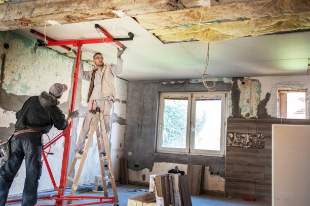 Best Cellulose Insulation in Pembroke, GA