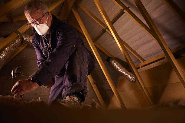 Professional Insulation Contractor in Pembroke, GA